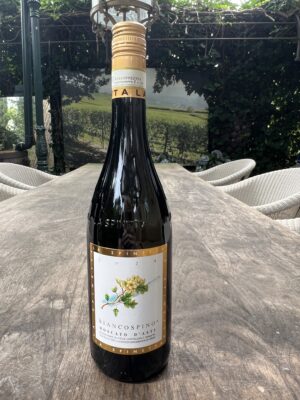 La Spinetta Vigneto Gallina Barbera d'Alba DOC (Copy)